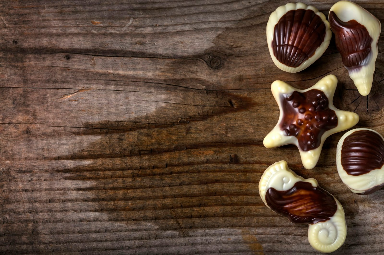 Seashells candies